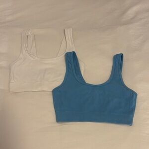 Aerie Blue and White Sport Bras